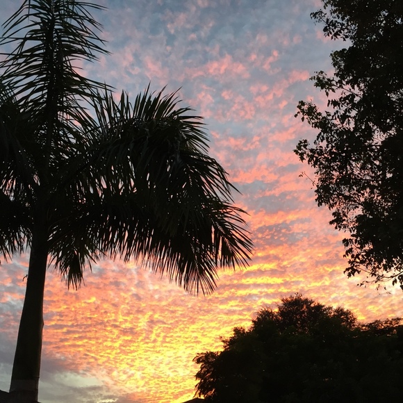 Meet your Posher, Donna - Picture 1 of 1